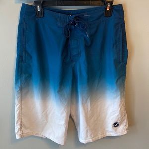 Hollister swim trunks